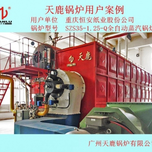 重慶恒安紙業SZS35鍋爐房